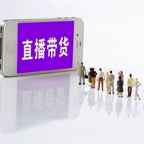 电子商务（运营/直播）专业